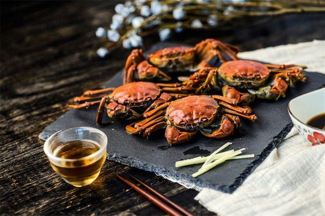 熊海峰教授走进广东塔牌集团股份有限公司开展2025院士专家入百企进百校（梅州行）活动